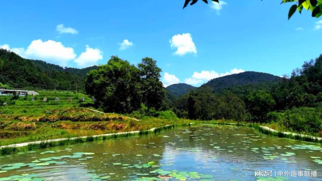 最新搜索推广专属化打造您的办公系统:账号运营与内容推广的一站式解决方案,24小时全自助下单平台有哪些：高效便捷的自动化服务新选择